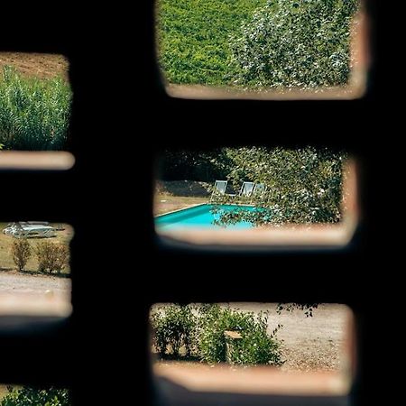 Fienile Panoramico Nel Chianti Villa Greve in Chianti Exterior photo